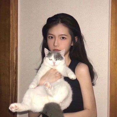 火影疾风传手游私服下载